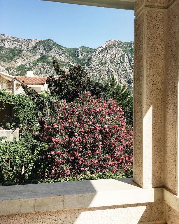 Villa Teuta Risan Δωμάτιο φωτογραφία